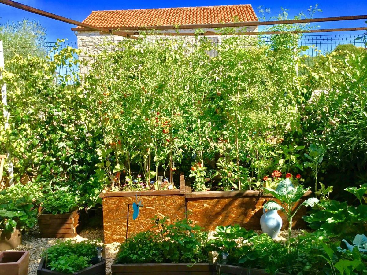 Heritage Villa Aquamarine Malinska Εξωτερικό φωτογραφία